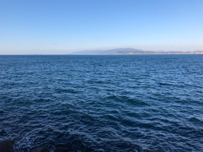 サバゲー、、青物には巡り会えず