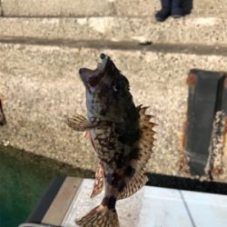 水俣港ライトゲーム