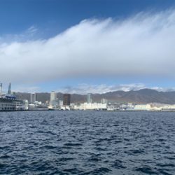 上手い人釣って下さい