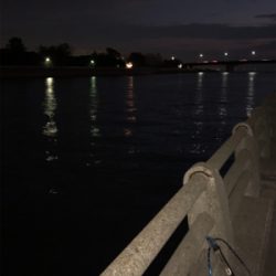 バチ抜けを期待して