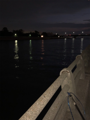 バチ抜けを期待して