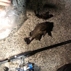 早朝ロックゲーム