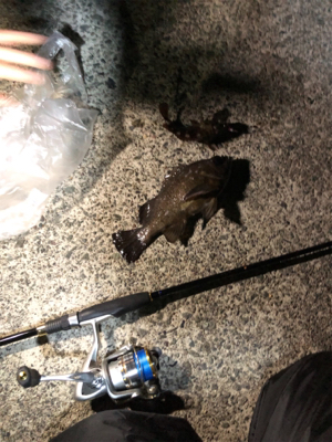 早朝ロックゲーム