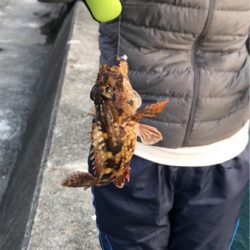 御所浦ライトゲームリベンジ