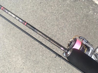 新しいポイント散策