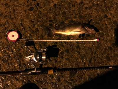 御所浦ライトゲームリベンジ②