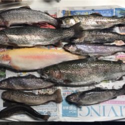 初！アルビノ！！