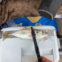 デカマスゲーム