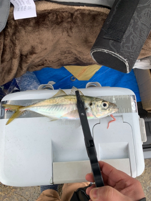 デカマスゲーム