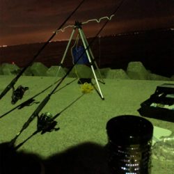夜釣り