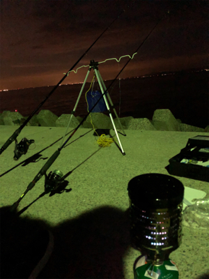 夜釣り