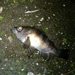 メバリングランガン