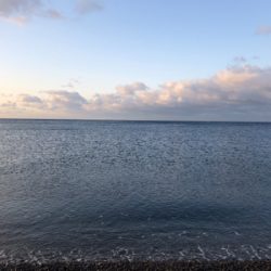 青物不発からのサバ狙い♪