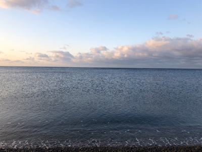 青物不発からのサバ狙い♪