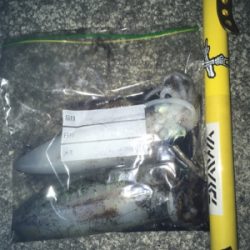 寒かったです！