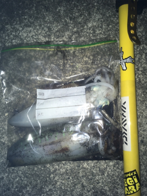 寒かったです！