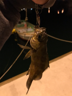 牛深ライトゲーム①