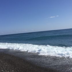 カマス探しの旅