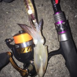 まだ居てる〜( ^ω^ )♪♪