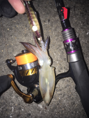 まだ居てる〜( ^ω^ )♪♪