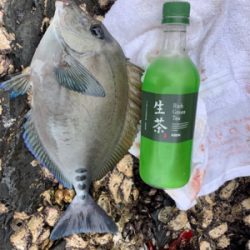 小才角 磯フカセ