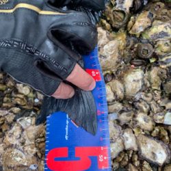 御五神島 沖磯フカセ