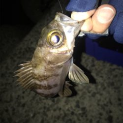 仲間とメバリング