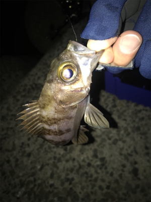 仲間とメバリング