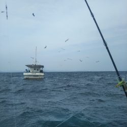 出血大サービス!