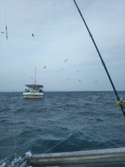 出血大サービス!