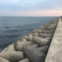 天気予報に騙されましたが記録更新！