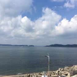 加太大波止 サバ！イワシ！爆釣！