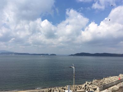 加太大波止 サバ！イワシ！爆釣！