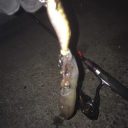 釣れてくれてありがとう