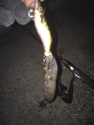 釣れてくれてありがとう