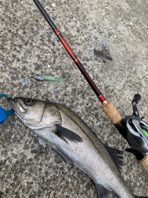 アタリ数あれど。。。