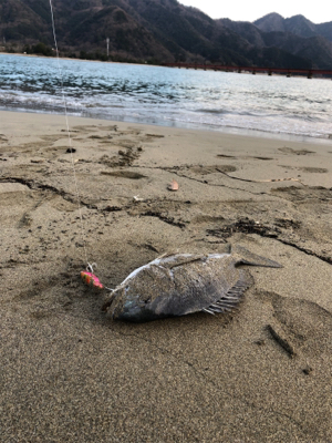 いい引きでした