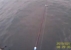 とっとぱーく小島。サバ!アジ!