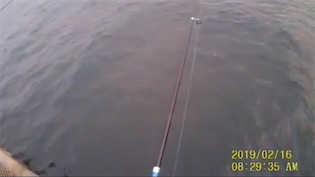 とっとぱーく小島。サバ!アジ!