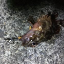 指をくわえてライトゲーム