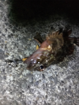 指をくわえてライトゲーム