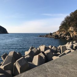 ライトに遊ぶ。