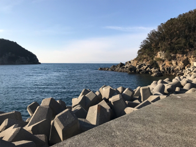 ライトに遊ぶ。