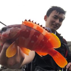 弁天ハードロック!