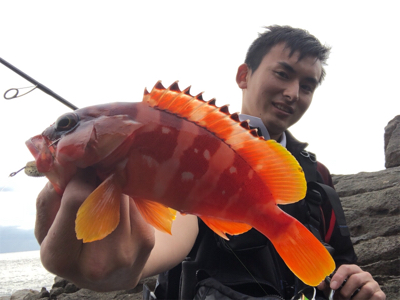 弁天ハードロック!