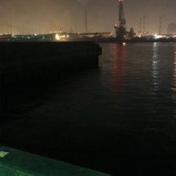 久しぶりの魚(^^)