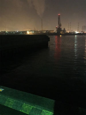 久しぶりの魚(^^)