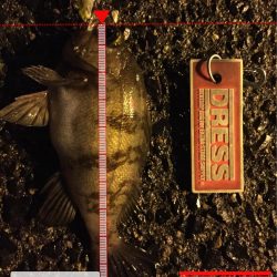 ライトゲーム修行