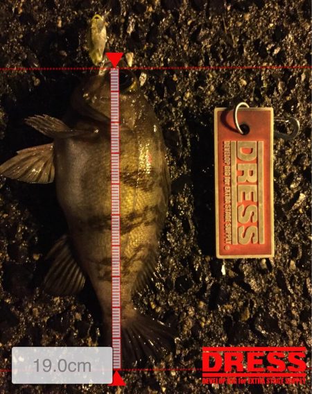 ライトゲーム修行