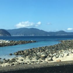 柏島のダイソージグ釣果